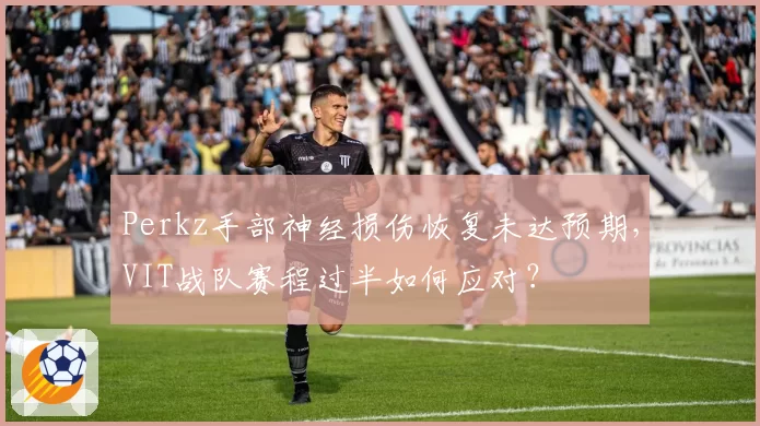 Perkz手部神经损伤恢复未达预期,VIT战队赛程过半如何应对?
