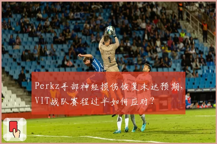 Perkz手部神经损伤恢复未达预期,VIT战队赛程过半如何应对?